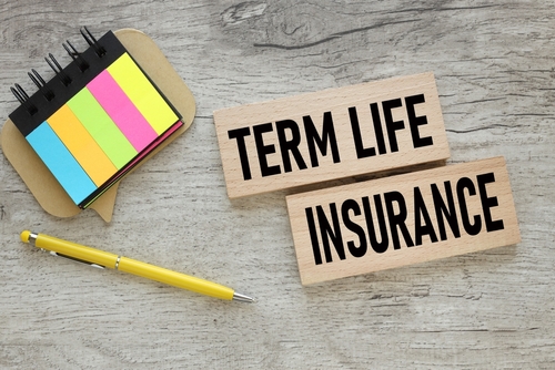 Top Factors to Consider When Buying Term Life Insurance